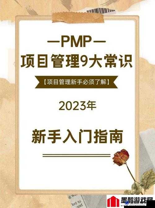 深入浅出 PMP 不慎意外走红：探寻背后的成功秘诀与启示