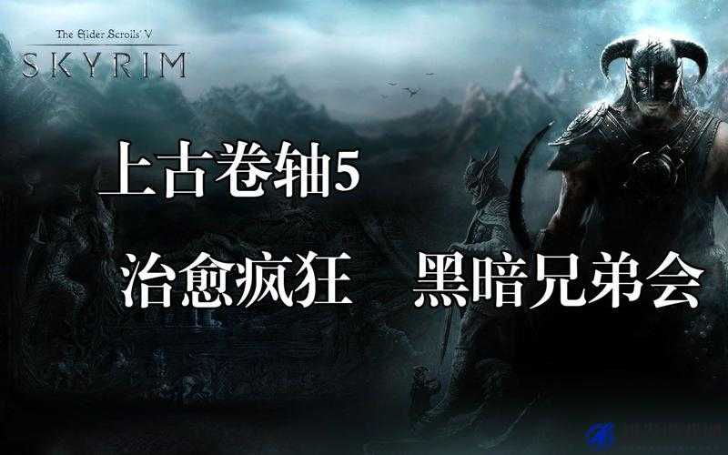 上古卷轴5重制版深度解析，黑暗兄弟会治愈疯狂任务全流程攻略