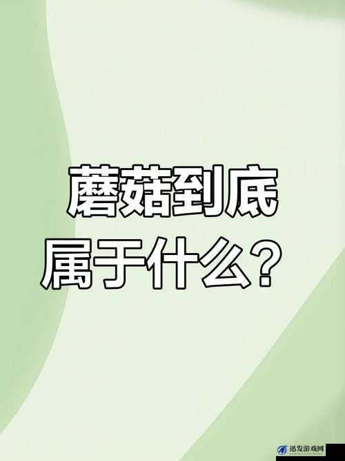 17cc 网黑料爆料官网蘑菇：深挖网络黑幕，揭示真相