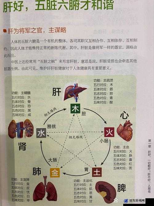 办公室强肝是好事还是恶性-探究职场健康与工作压力的关系