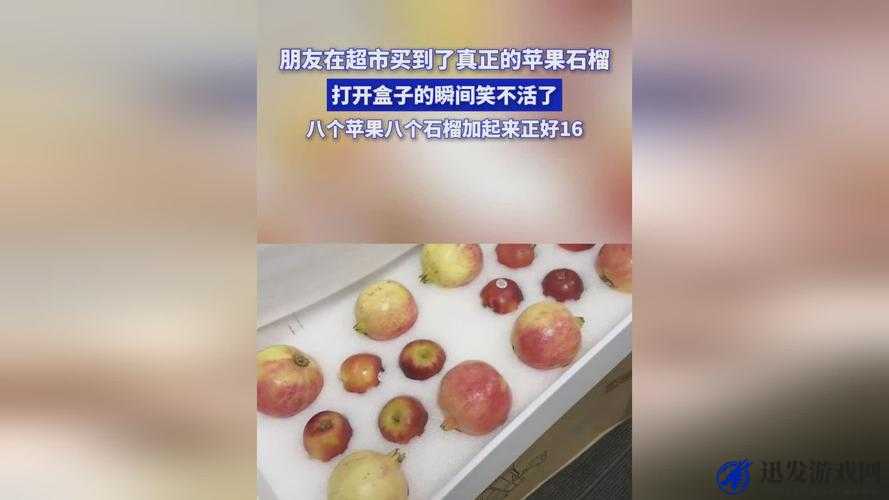 7x7x7x7x 任意槽蘑菇：神奇物品的独特魅力与无尽奥秘