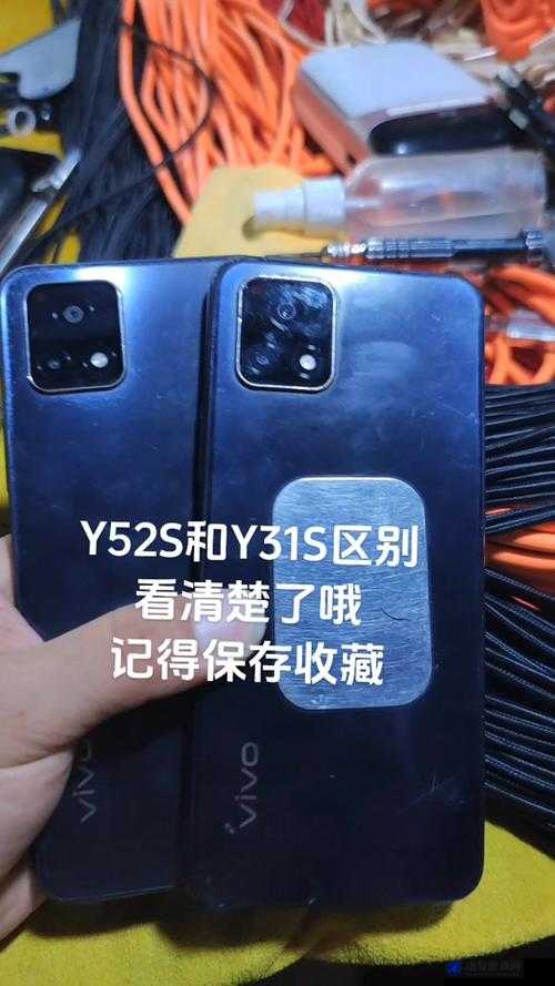 y31s 和 y31s 标准区别更新了许多海外直播间直呼这到底意味着什么