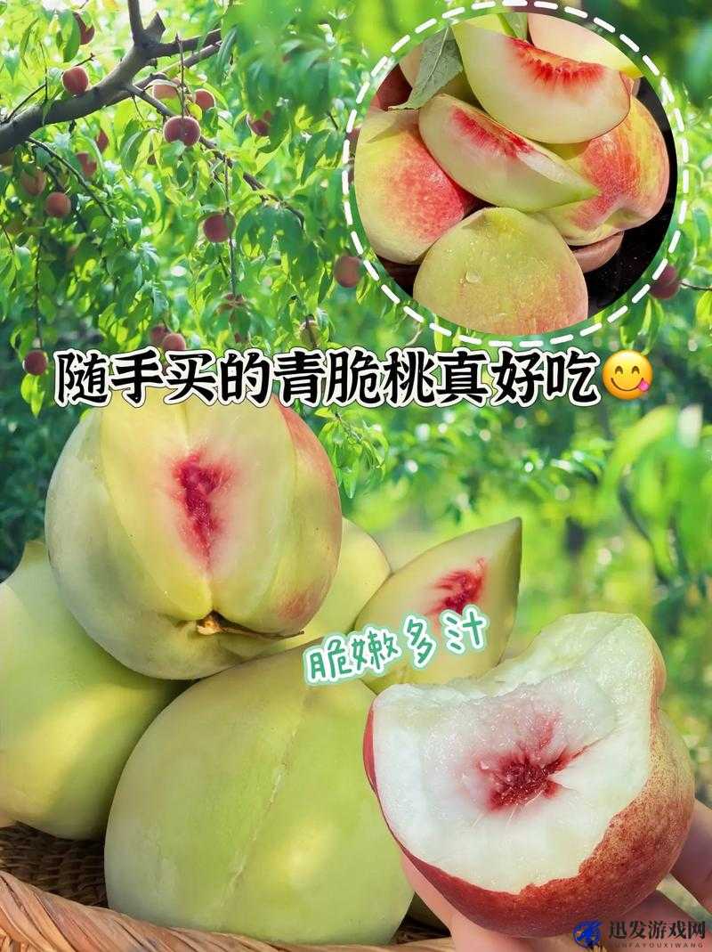 桃子成熟了：请享用这部经典爱情片的美味吧