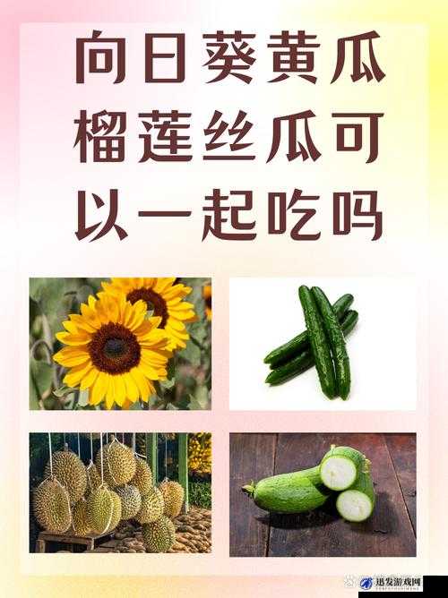 草莓 丝瓜 黄瓜 向日葵 榴莲：五种蔬果的奇妙世界