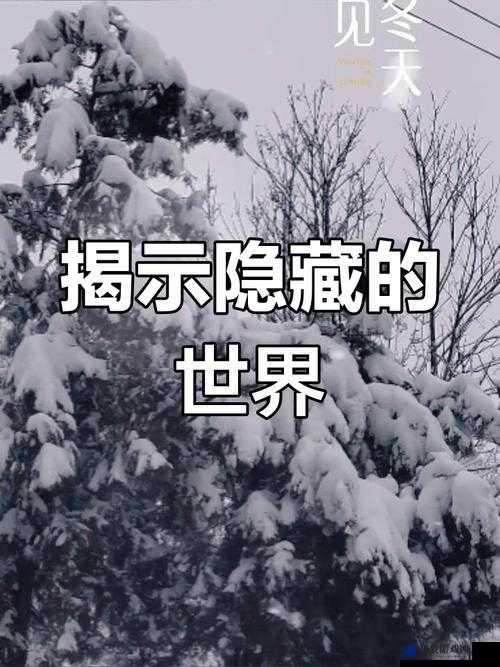 17c 去哪里了：探秘未知的神秘领域