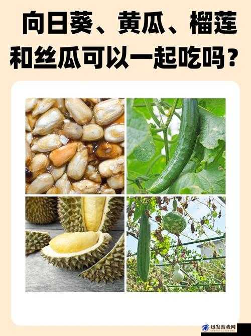 秋葵茄子丝瓜香蕉榴莲 2024 ：探索果蔬的神秘世界与未来展望