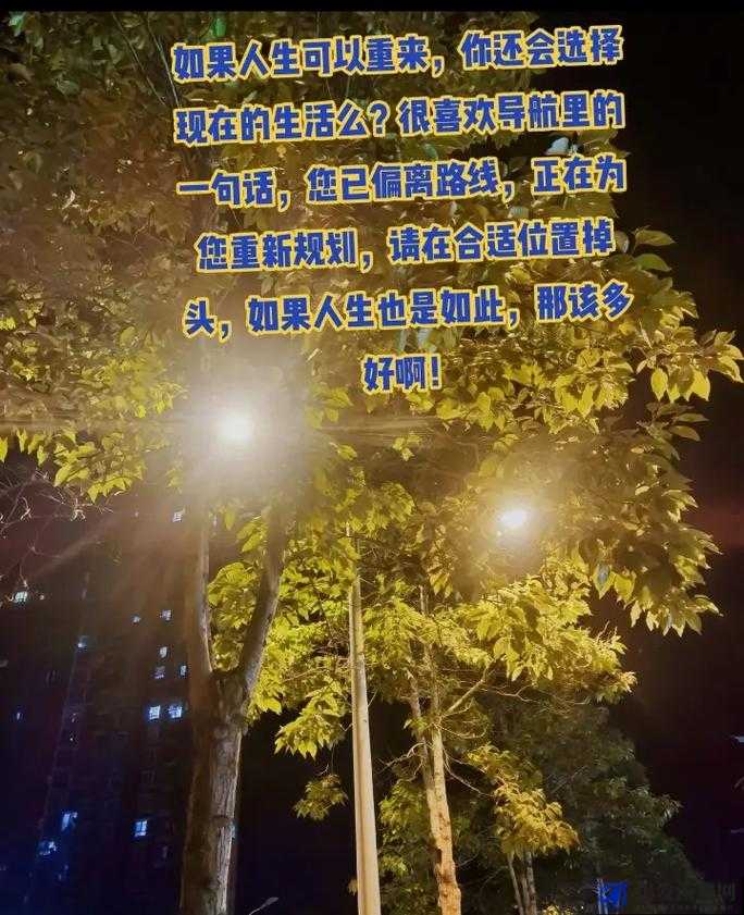 狠狠爱导航：开启精彩生活的精准指引之旅