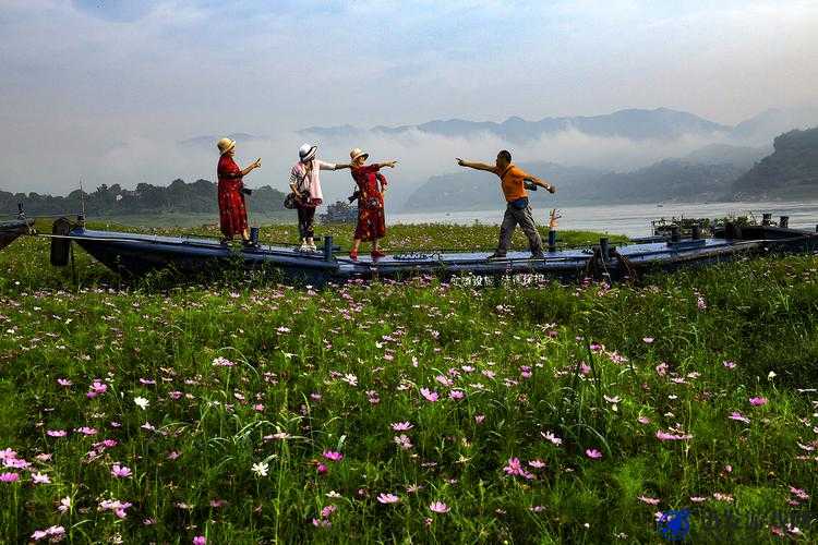 麻花 MDR 免费版户外：畅享户外精彩之旅