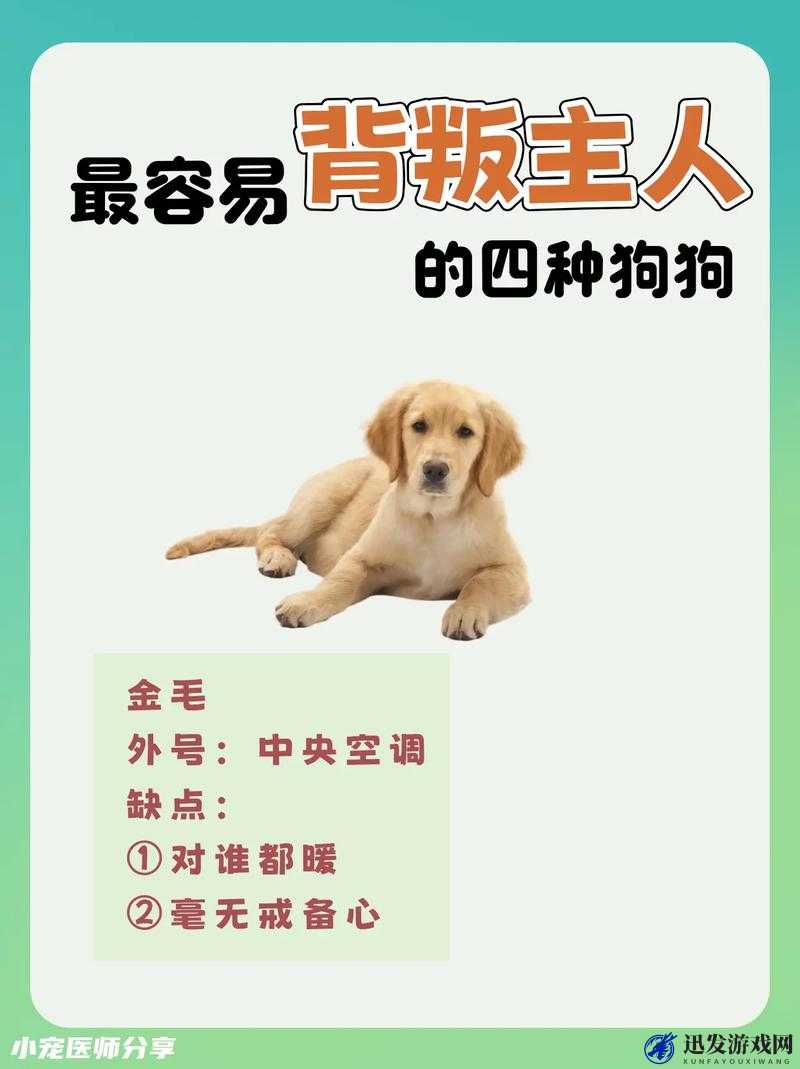 老公不在家：狗狗的东西能要吗？