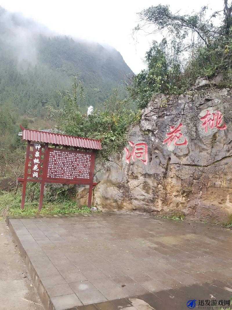 桃花洞口现状探访：探寻那神秘之地的如今模样