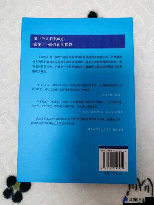 1984 经典：探究其中不当行为的奥秘