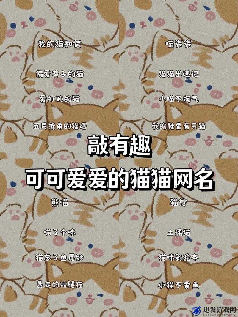 猫咪的永久地域网名是什么：一只来自远方的可爱精灵