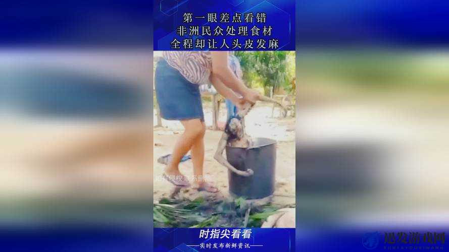 911 红领巾爆料吃瓜回家的路：探寻背后的神秘与真相