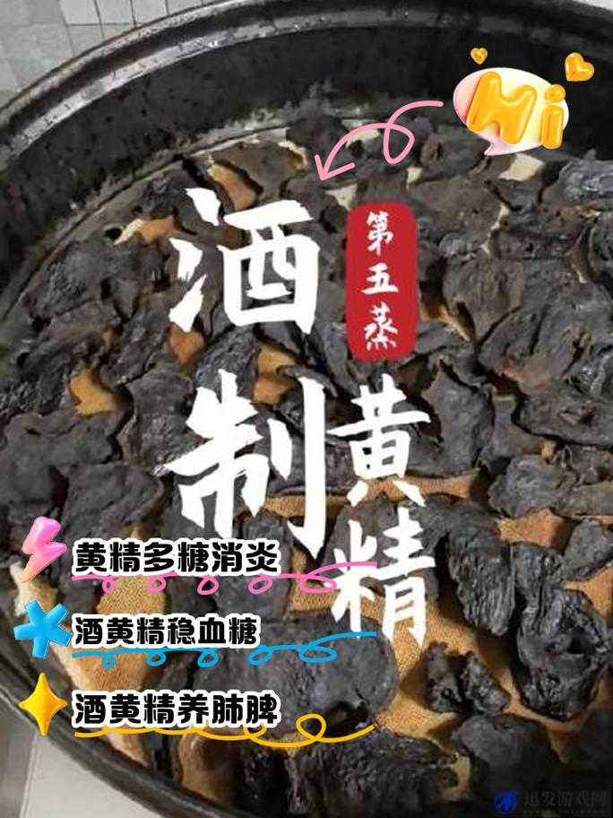 深度解析，盐和避难所中的黄金酒效果与作用全面探讨