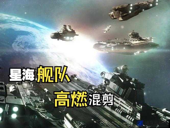 群星游戏中应对太空巨鲸挑战，构建高效专属太空警察舰队的策略