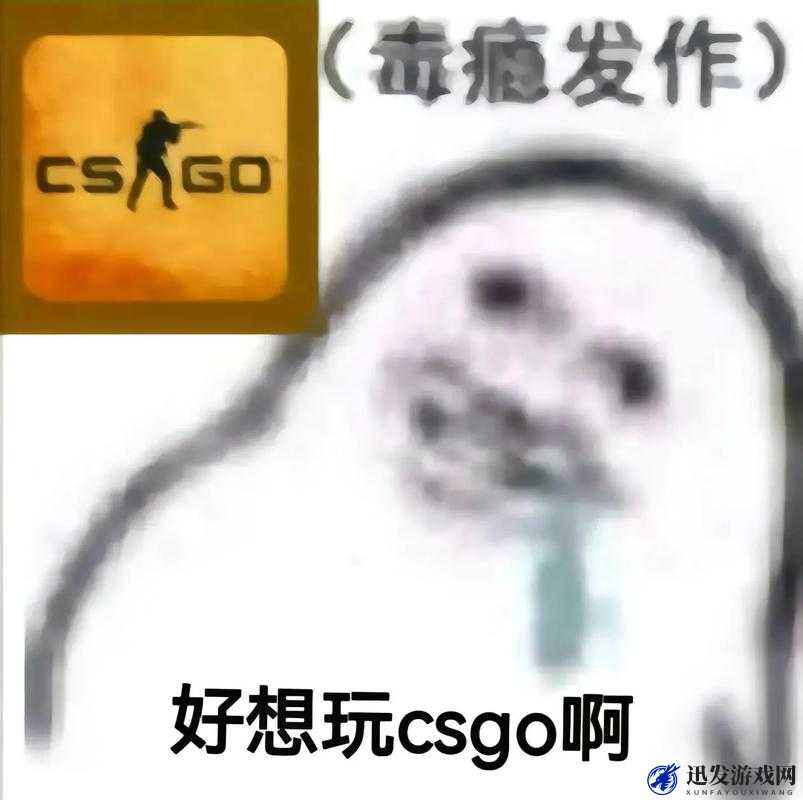 CSGO 暴躁猛女骂人：震撼场面令人瞠目结舌