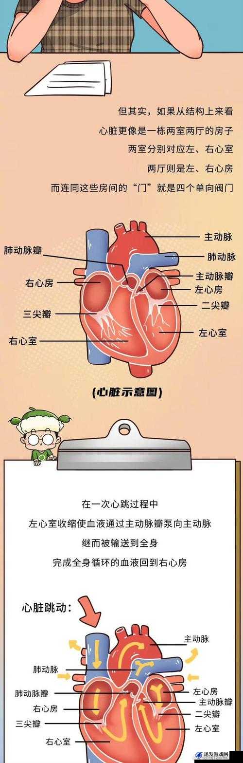 盐和避难所游戏攻略，详细解析抹除心脏获取方法及位置探索