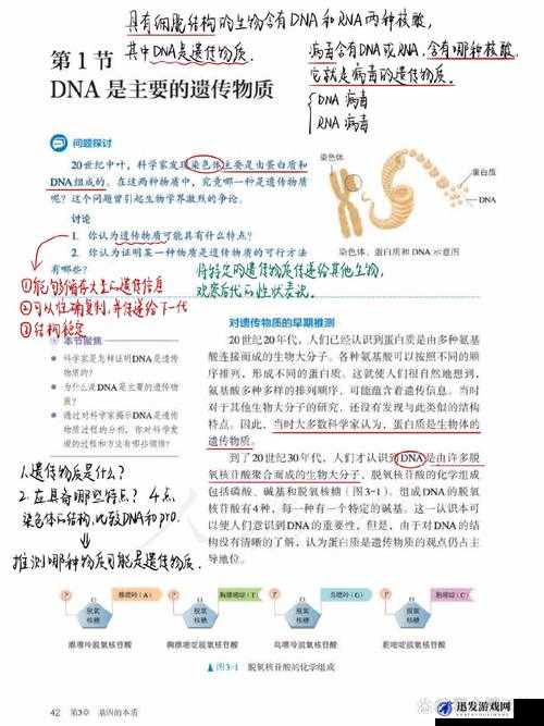 母亲的 DNA 和儿子的 DNA 为何是一样的：从生物学角度解析遗传奥秘