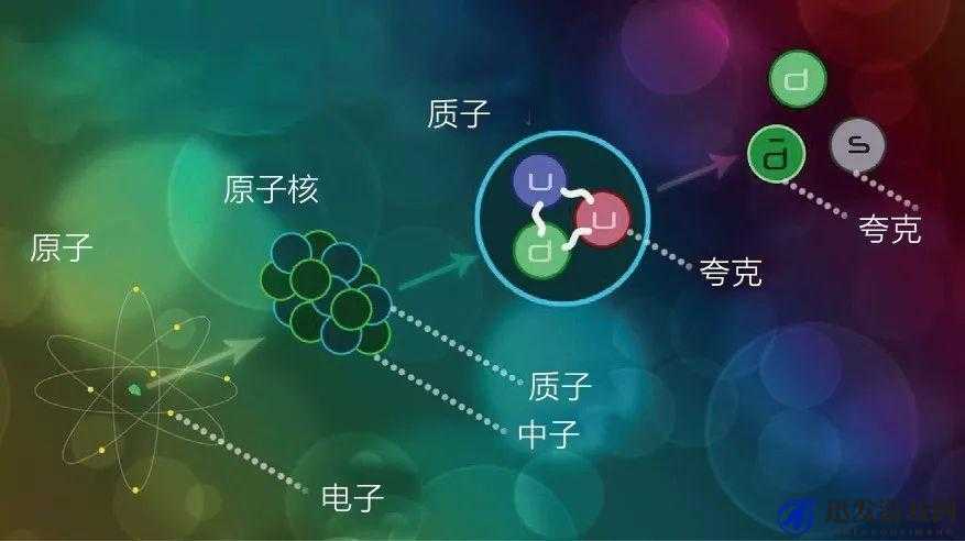 OVO 食肉家取报告 3 的详细分析和最新内容：深度解读与前沿发现