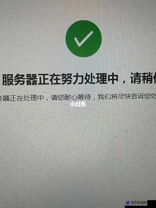 蛤蟆吃服务器处理请求时报告错误，详细解决步骤与排查方法