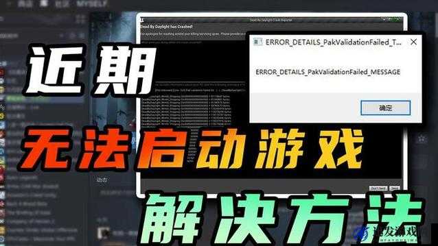 黎明杀机游戏无法登陆问题全面解析及多种有效解决办法