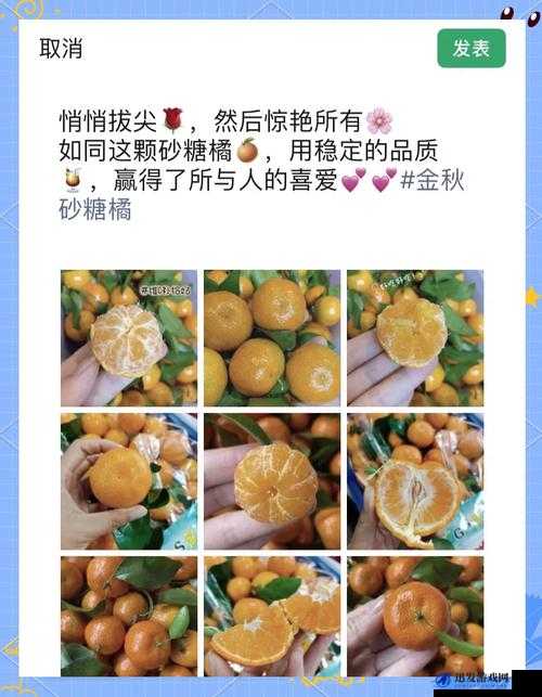 可不可以 po 橘子糖水？让我们一起探讨这个甜蜜的话题