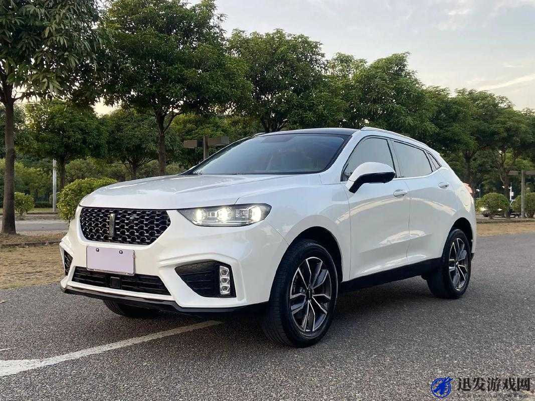 weyvv5 国产的 suv：一款极具魅力与实力的国产汽车