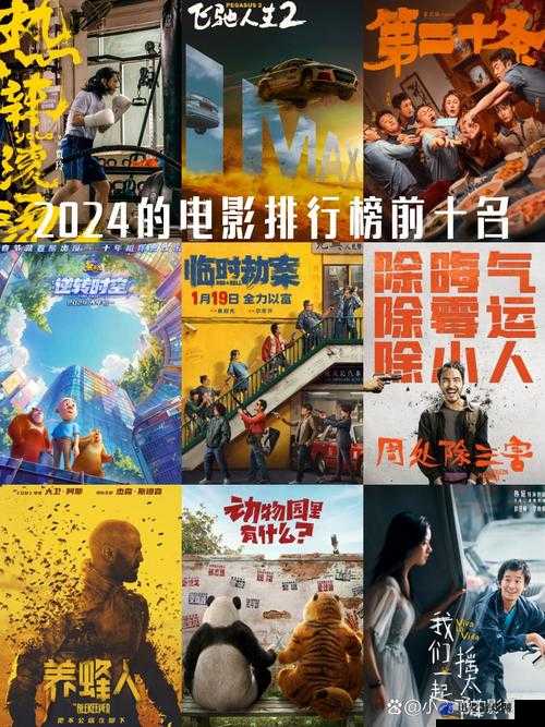 2024 年中国产电影佳作盘点之经典作品与精彩回顾