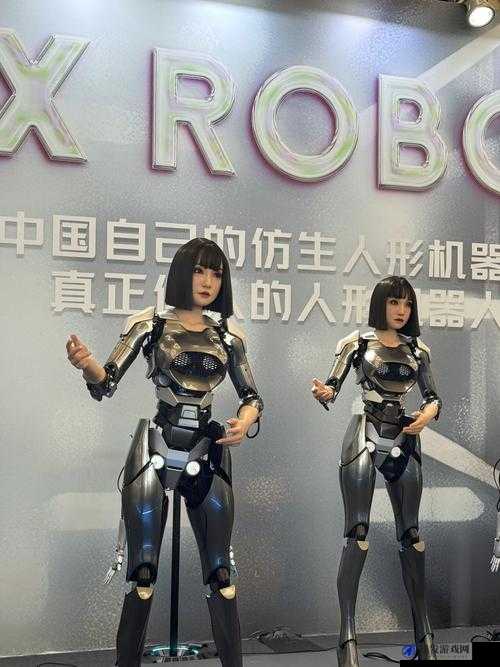 群星发展Robot机器人，探索失控风险及实践心得的深度分享